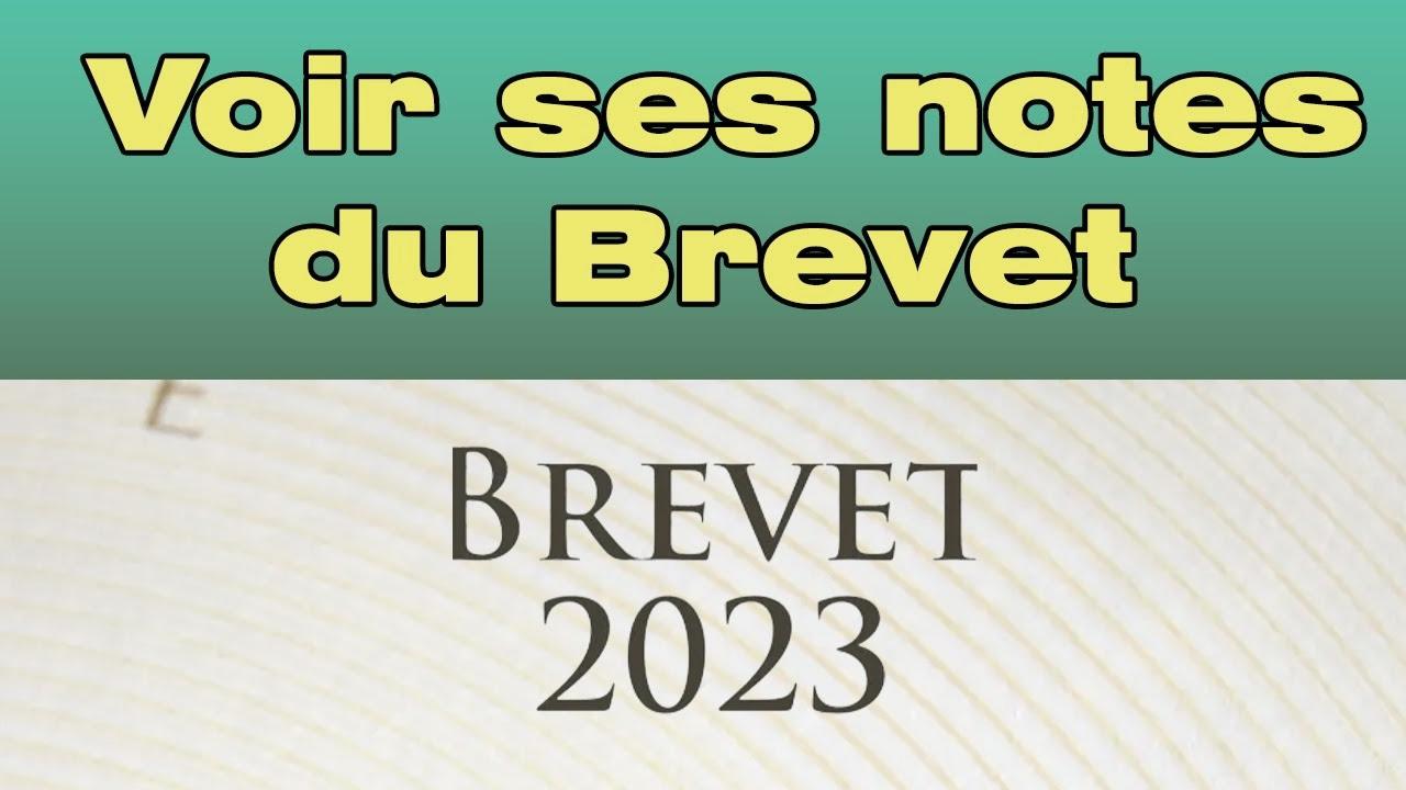 Décrypter ses Résultats: Guide Simple pour Voir vos Notes du Brevet